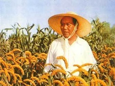 紀念毛主席誕辰124周年！永遠緬懷偉大領袖毛澤東！