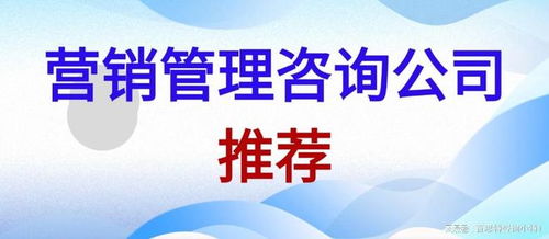2025年中國營銷管理咨詢公司推薦 賦能企業戰略增長